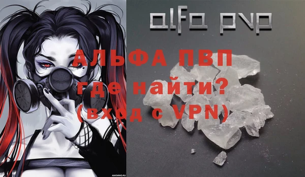 гашик Липки