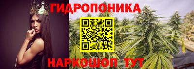 прущие крисы Коммунар