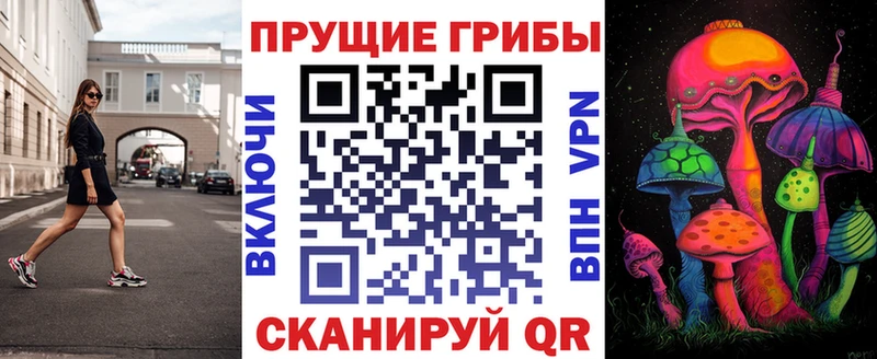 наркота hydra как зайти мориарти состав Чайковский Галлюциногенные грибы Magic Shrooms
