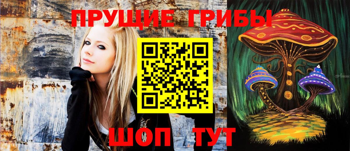 Псилоцибиновые грибы Cubensis  цена   Чайковский 