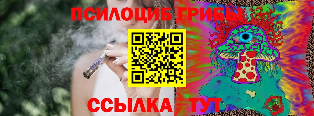 Галлюциногенные грибы GOLDEN TEACHER Чайковский