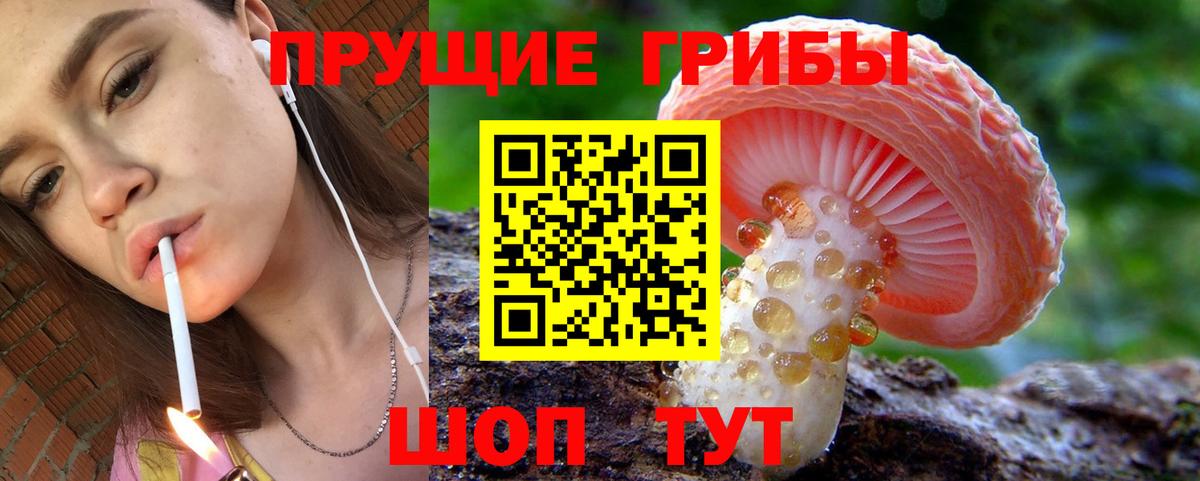 Галлюциногенные грибы Magic Shrooms  Вход с VPN  Чайковский 